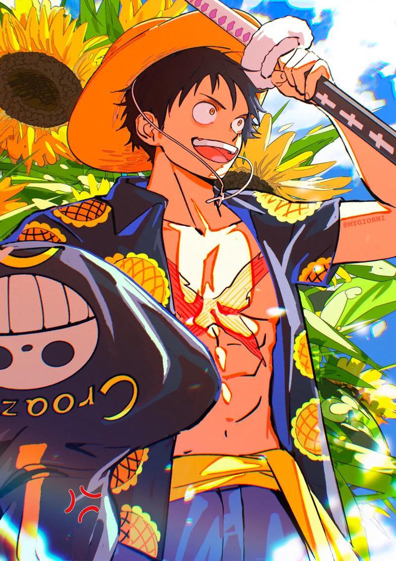 ảnh one piece ace luffy