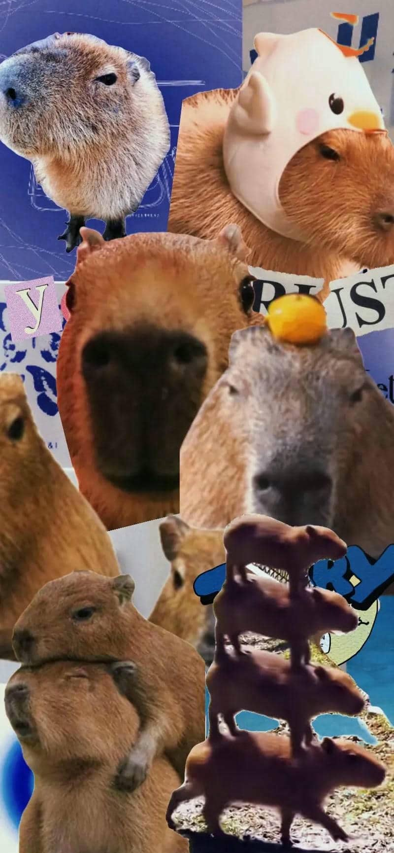 avatar capybara