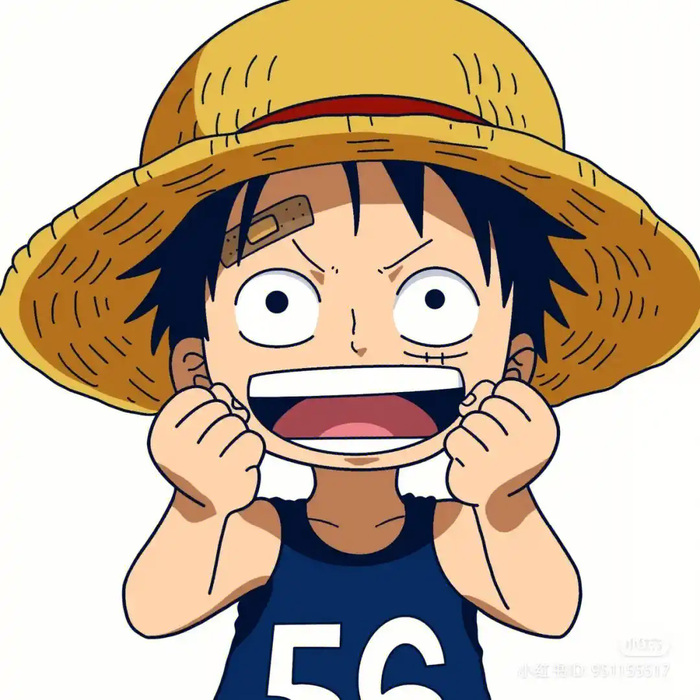 luffy ảnh